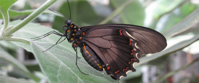 LUHNS - Headergrafik