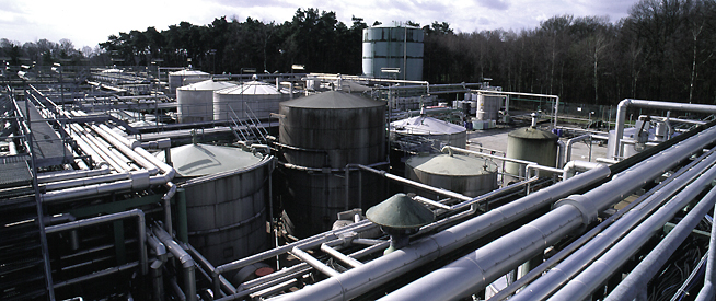 LUHNS - Headergrafik